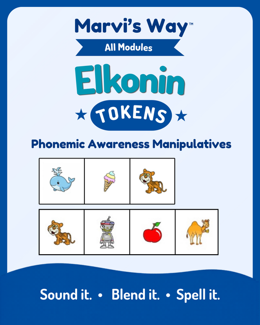 Novice and Modules 1-5 Elkonin Tokens and Boxes