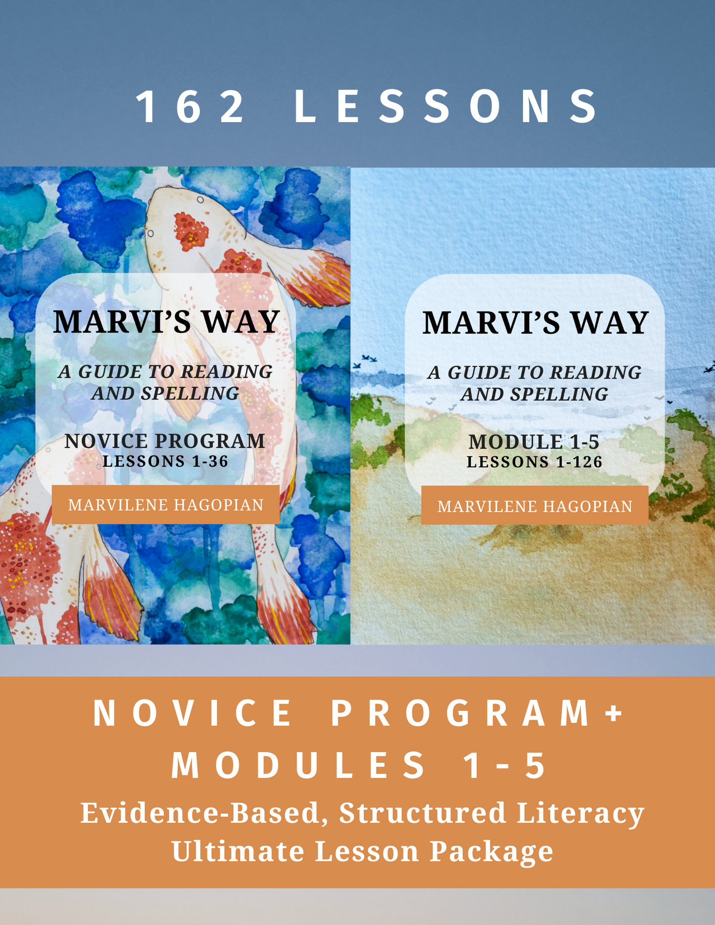 Ultimate Lesson Package: Novice Program + Modules 1-5